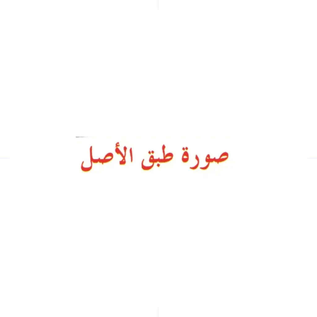 SHN Pre-Inked Stamp ( صورة طبق الاصل ) / NAR003 ختم ذاتي التحبير