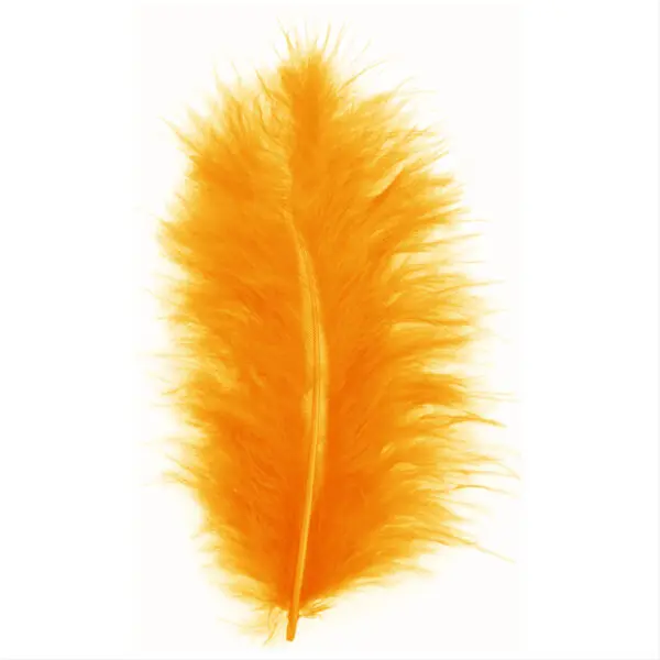HON Feathers 12-16cm 35pcs / 12BS099 ريش للاشغال