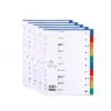 Plastic Dividers 10 Parts A4 / 10TB-A / Data Z فواصل بلاستيك ملونة