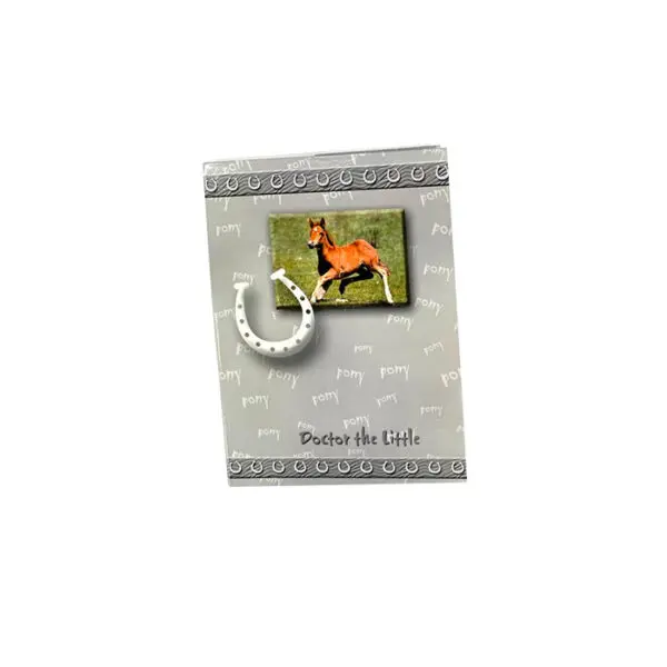 Portfolio A4 Carton - 733400001 / Doctor The Little ملف كرتون عريض