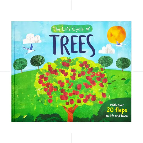 The Life Cycle Of  Trees