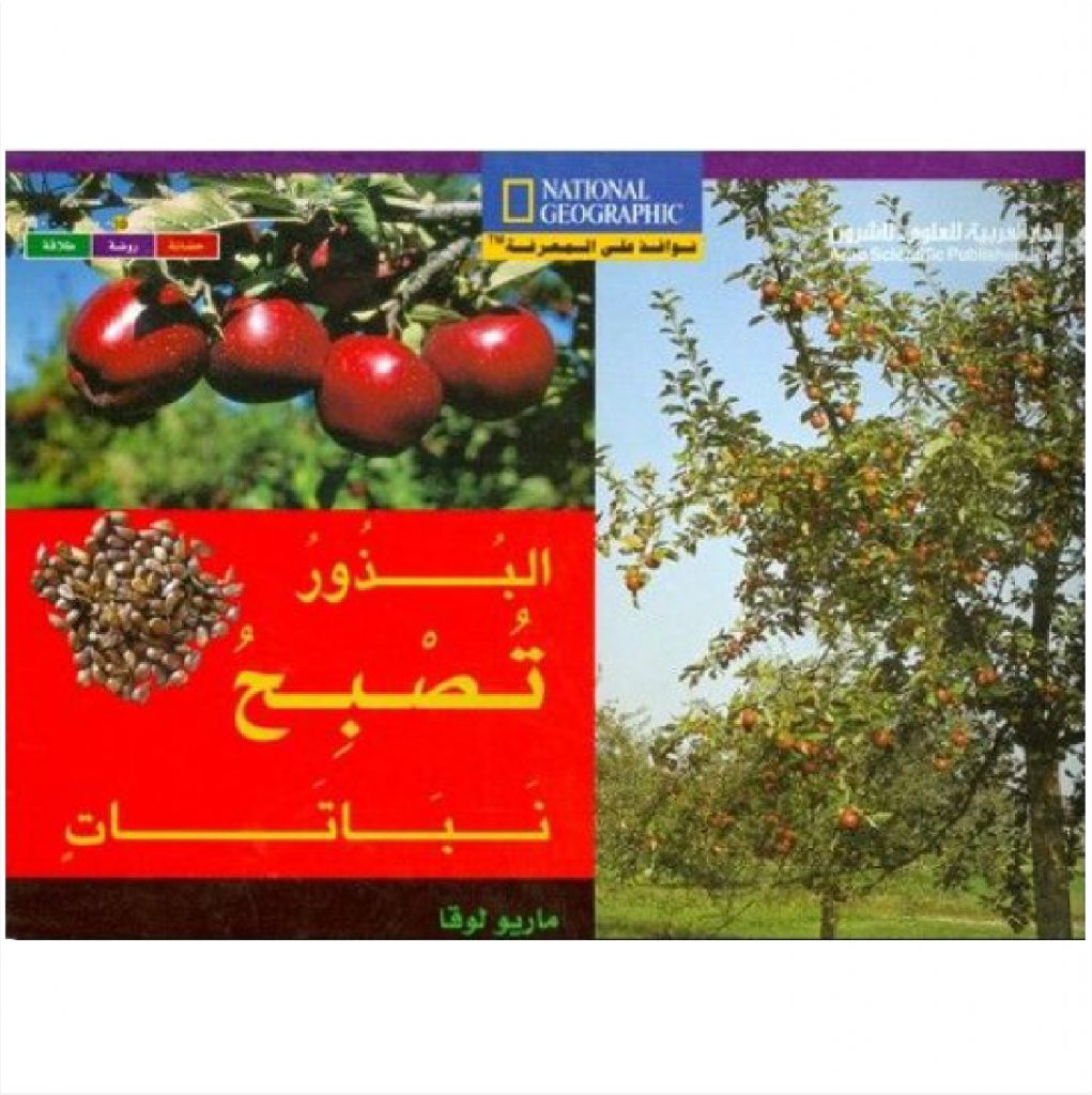 البذور تصبح نباتات/ لغتان