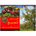 البذور تصبح نباتات/ لغتان