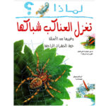 لماذا؟ تغزل العناكب شباكها