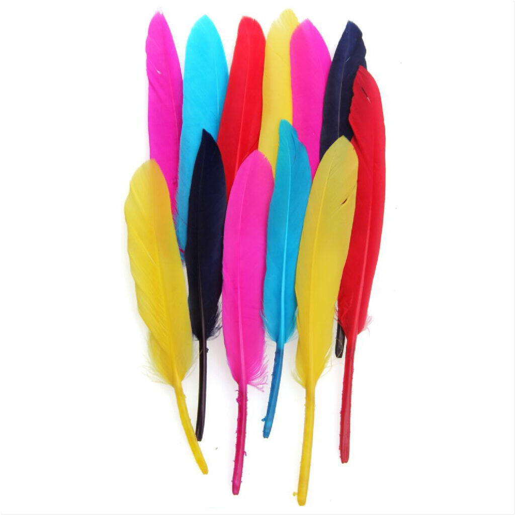 CFA Feathers 12-18cm 20pcs Assorted Colors Goose / CA-160 ريش للاشغال ملون