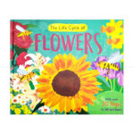 The Life Cycle Of  Flowers